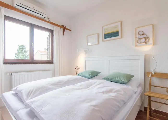 Makii ビオグラード・ナ・モル