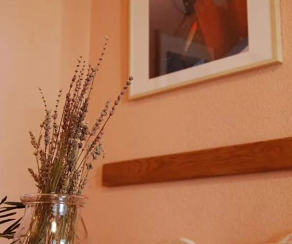 Makii * 비오그라드나모루